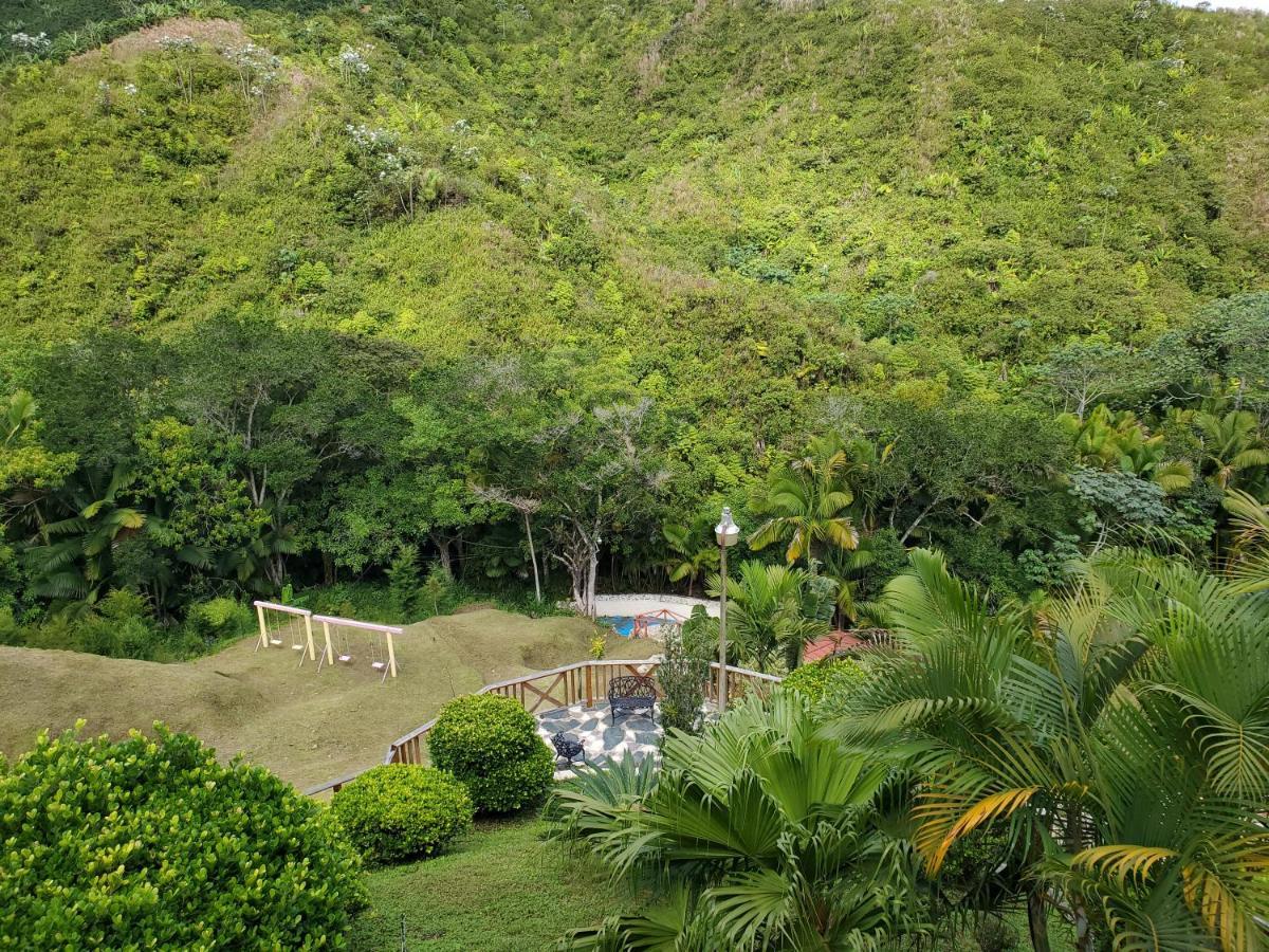 Villas Las Neblinas Constanza Buitenkant foto